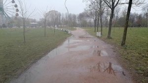 Утром снег и дождь, потом солнце