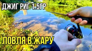 Микроджиг в жару. Джиг-риг 1.5г на Пахре: как поймать пассивного окуня