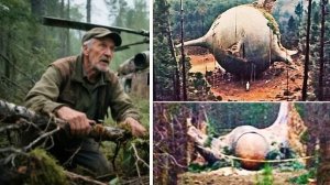 В тайге лесник набрел на странный объект