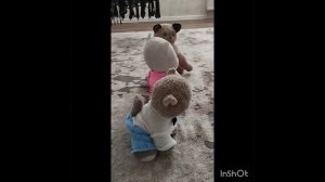 Наши питомцы сезон 1 серия 3