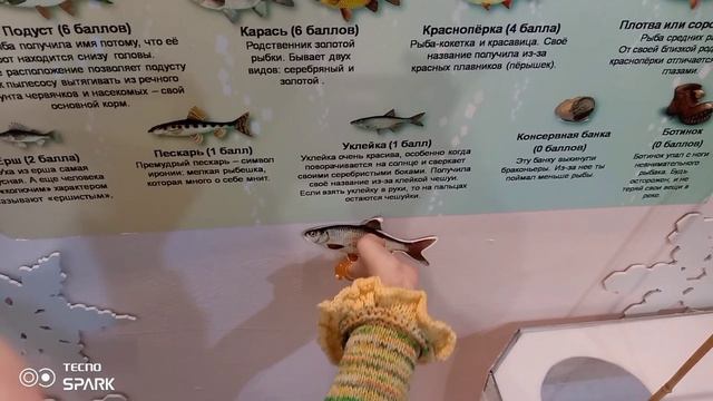 Костромской музей природы. Бабочки,лоси и даже мамонты...Рыбалка и другие интерактивы.