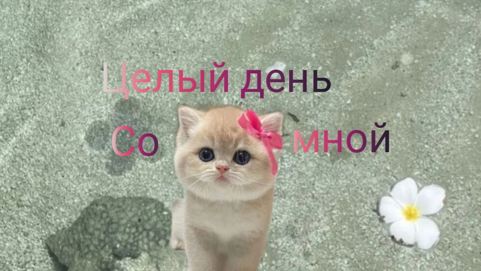 Vlog: целый день со мной. 🌞