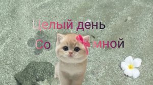 Vlog: целый день со мной. 🌞