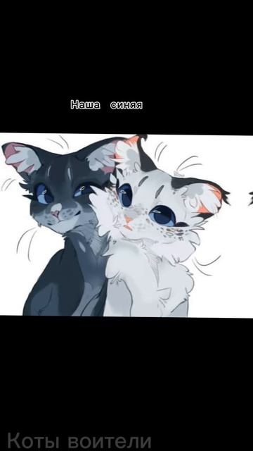 Коты воители