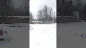 Маша, жизнь со мной станет краше