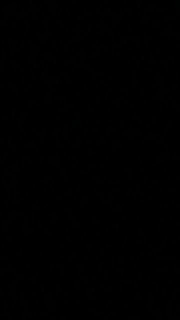 моральные уроды громят стены