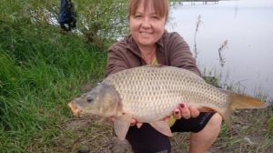 Пьяный горох стянул всю рыбу. Рыбалка на карпа, море поклевок на Горох и Сливу