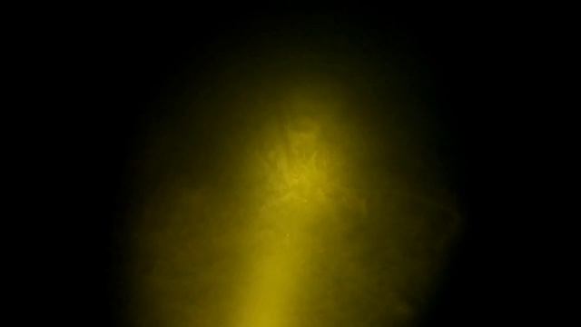 Незавидная охота