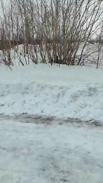 Вылазка на горки