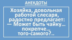 Хозяйка, довольная работой слесаря, радостно предлагает... | Анекдоты смешные | Юмор