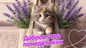 Доброе утро понедельника: красивые открытки и пожелания | Домохозяйка