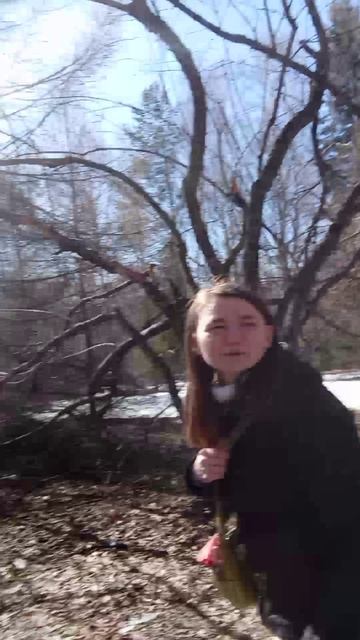 сошини парк гуляем в парке часть 2 26.04.2026 год.