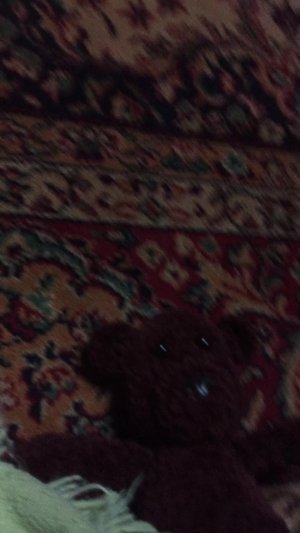 Я сегодня играл в первые в жизни Ну почти на Дуся это Моё первое видео