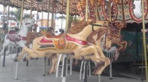 обзор карусели в чикен гане