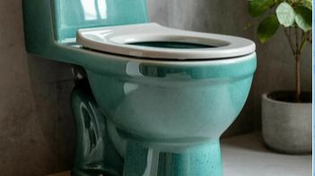 Настройка арматуры бачка унитаза - регулировка сливного механизма.