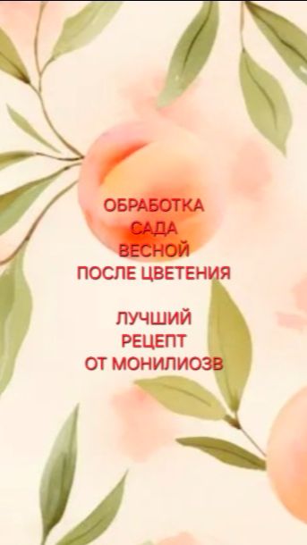 Обработка сада весной после цветения