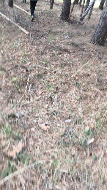 продолжение,праркура-2часть