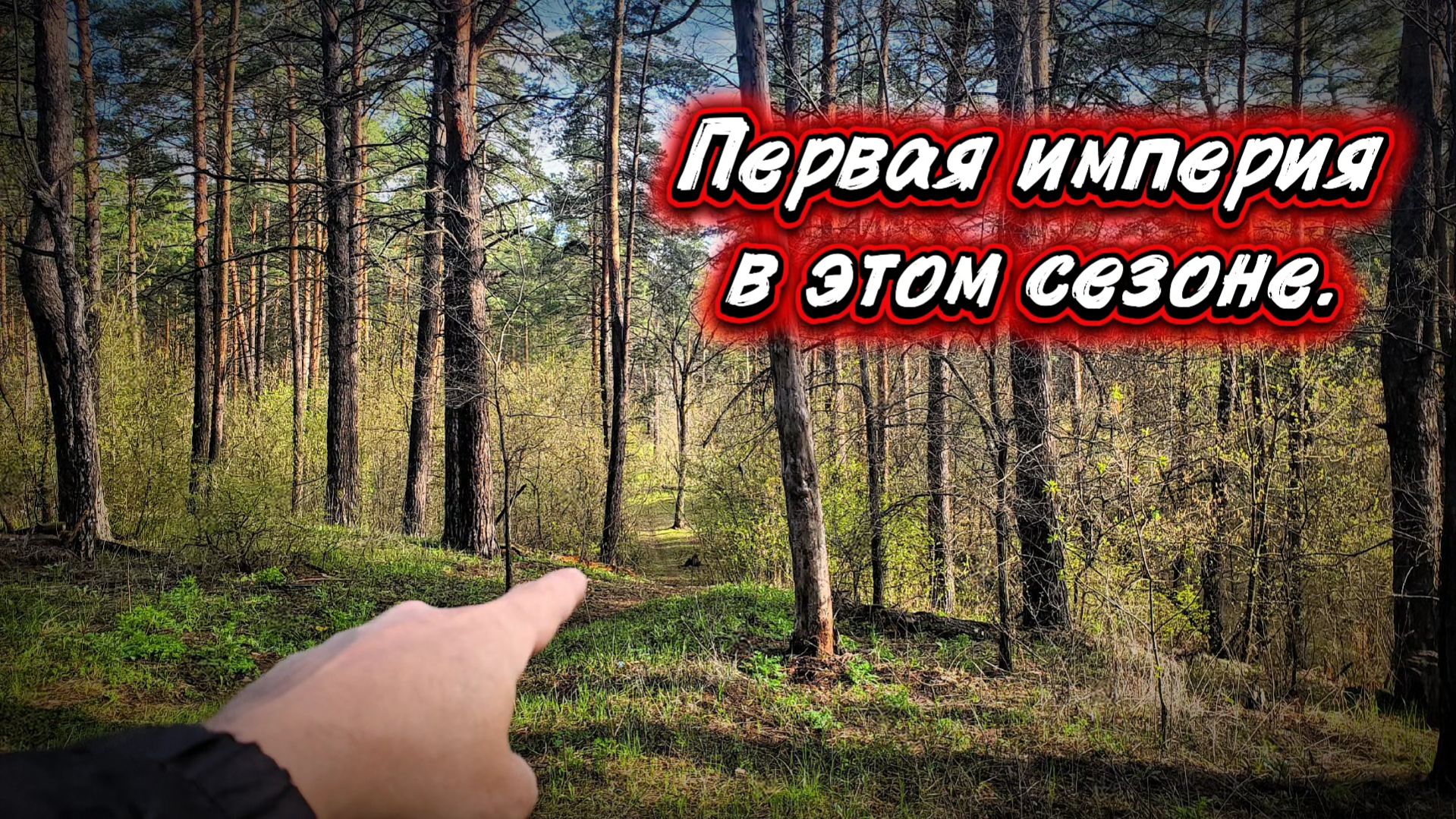 Первая империя в новом сезоне. Копаю в городском лесу.