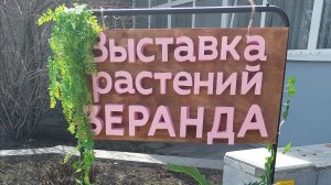 Побывала на выставке КОМНАТНЫХ ЦВЕТОВ ● Выставка цветов " Веранда " город Новокузнецк ●●●