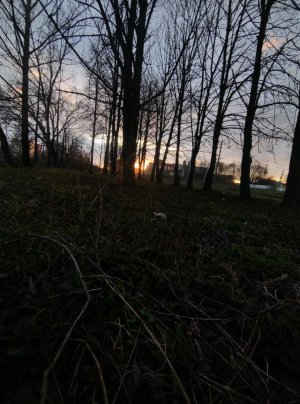 на заброшкр