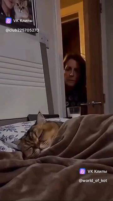 Котя и телефон