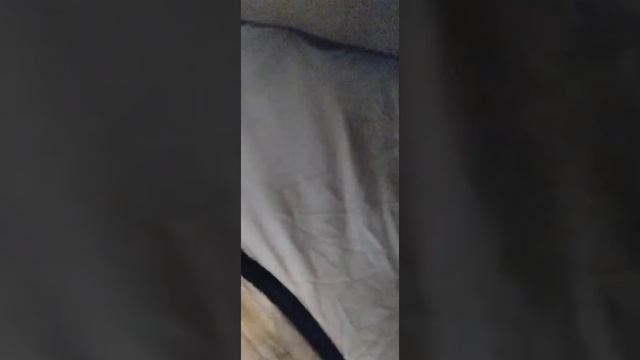 Алеут ушел от Ани и та в истерике неподелили бутылку