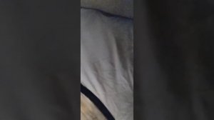 Алеут ушел от Ани и та в истерике неподелили бутылку