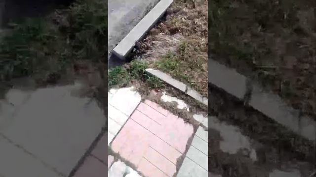 26-04-2026 смотреть онлайн