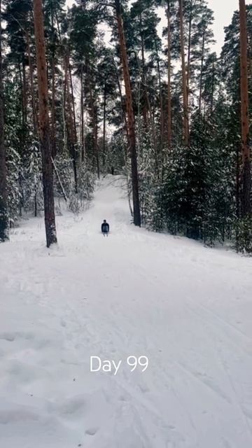 Тренировочная практика. День 99