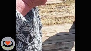 Ещё одна поездка по деревням района, на этот раз Тарнополь.