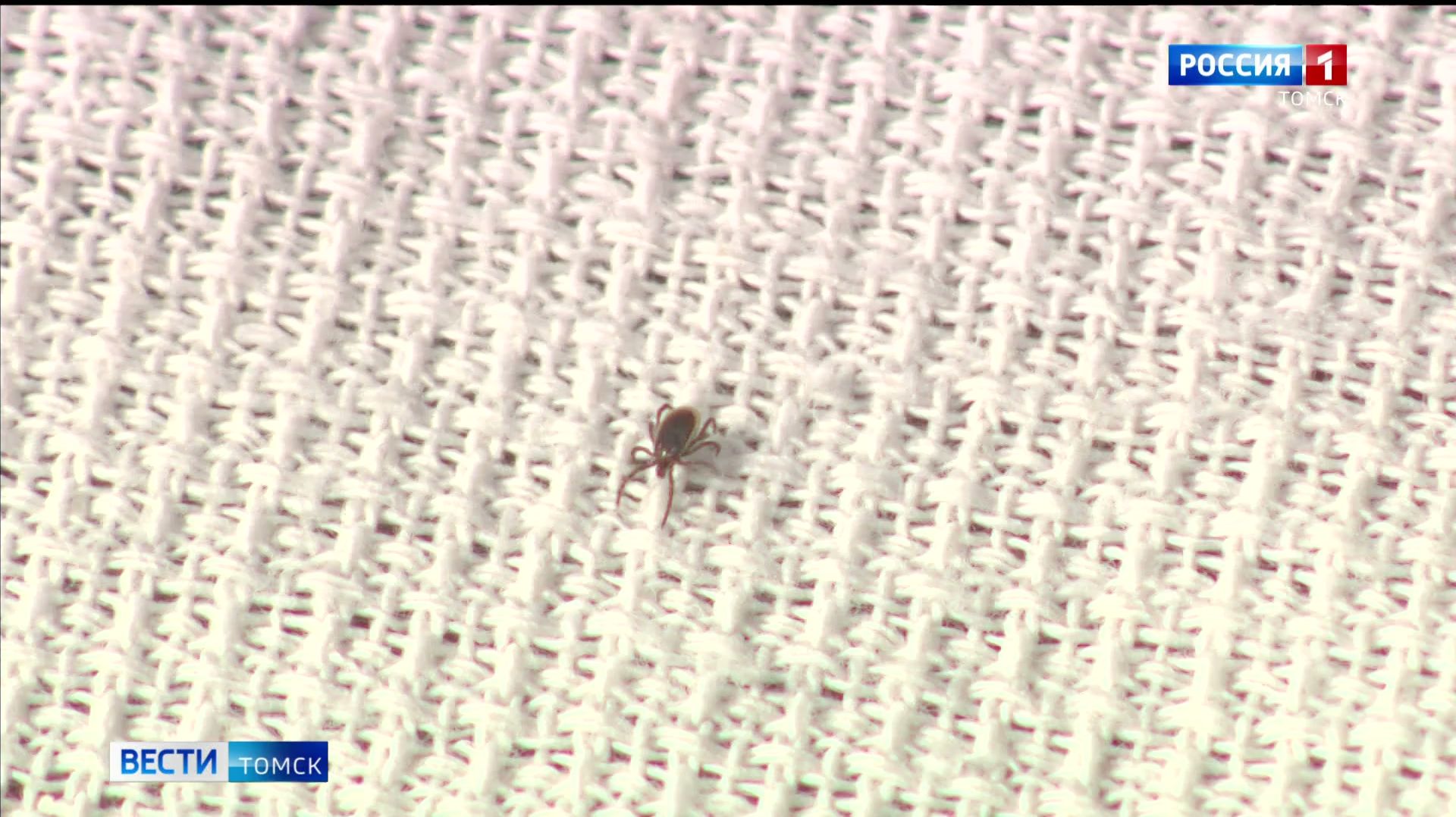 Вести-Томск, выпуск от 25.04.2026 14:30