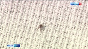 Вести-Томск, выпуск от 25.04.2026 14:30