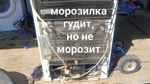 морозилка гудит но не морозит