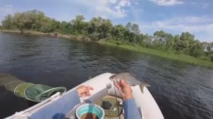 ФИДЕР С ЛОДКИ- КАК НАЛОВИТЬ МНОГО РЫБЫ_ЛОВЛЯ ЛЕЩА И ГУСТЕРЫ_ФИДЕР НА РЕКЕ