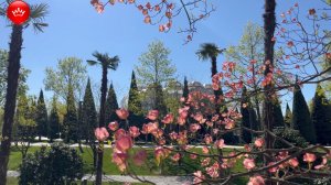 🌳Парк Галицкого для тех кто решил посетить показываем что цветет 26 апреля 2026