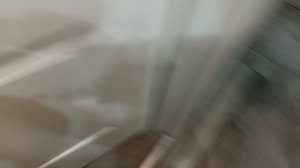 день басиков