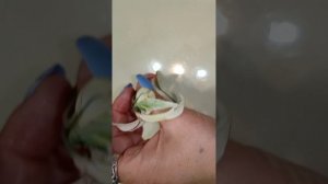 У нас перестройка. Переезд туалета на новое место. И подготовка места к мангальной зоне