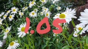 Лунный Календарь Комнатного Цветовода с27.04-3.05.26г.