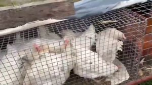 26.04.2026г ст. Бронницы полный Обзор!!!