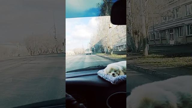 Агентство недвижимости ЛИДЕР-Л город Курган лидер на рынке недвижимости