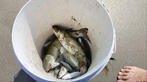 Рыбаки на пляже!