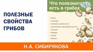 Чем полезны грибы