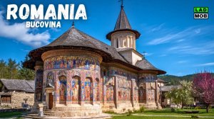 Полный тур по расписным монастырям Буковины, Румыния | Путна, Воронец, Сучевица, Молдовица