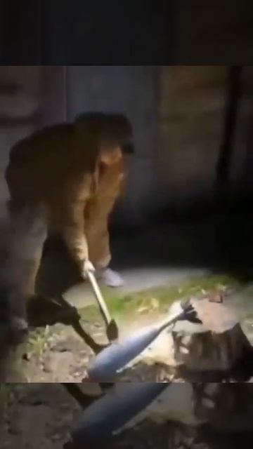 Сапёр от бога. Идиотос 80+.