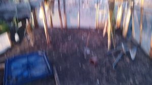 И в теплице, и в саду скоро будет всё в цвету...