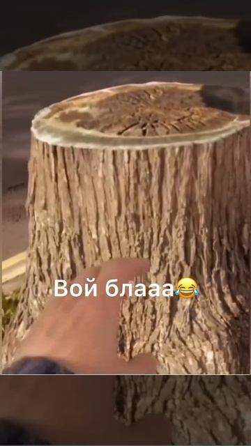 Хорошая иллюзия 😂