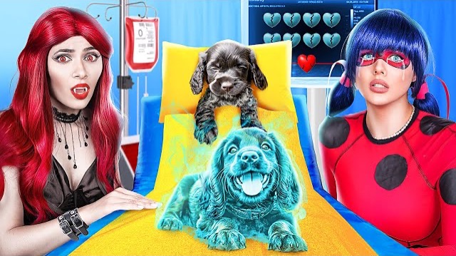 Вампир Vs Леди Баг! Мы спасли бездомного щенка! Лайфхаки для владельцев животных