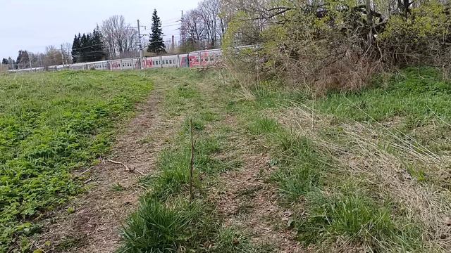 ЭВС1 Санкт Петербург Москва и ЭП2К с поездом Симферополь Санкт Петербург