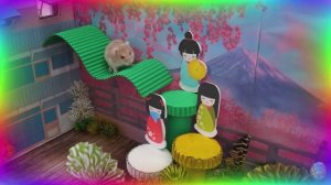 Экстремальный лабиринт для хомяков – только один путь ведет к свободе! часть 6