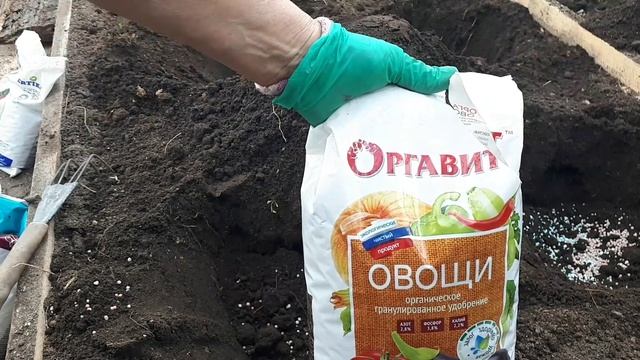 2388. Рассадный 26 .Готовим гряды под томаты.